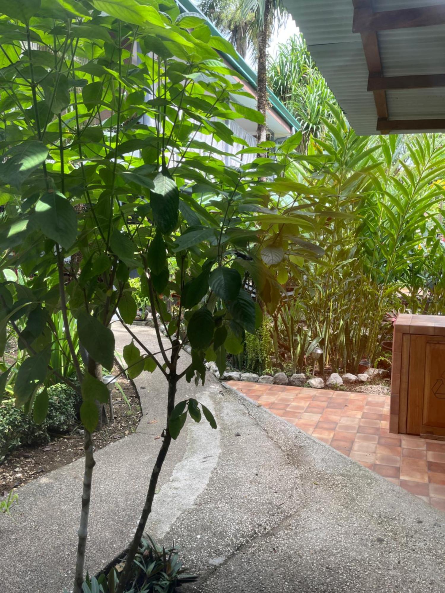 Hotel Entre Dos Aguas ซามารา ภายนอก รูปภาพ