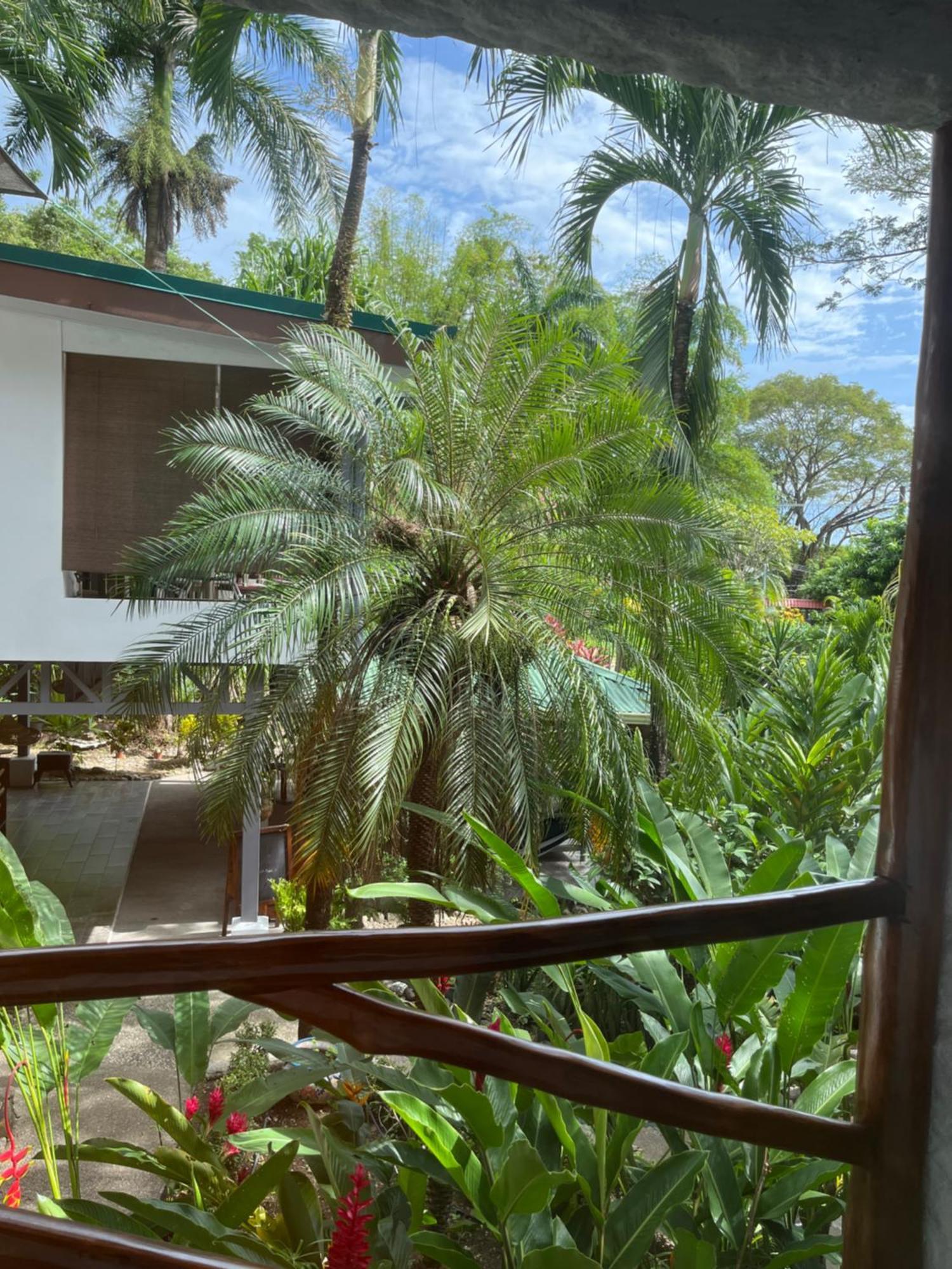 Hotel Entre Dos Aguas ซามารา ภายนอก รูปภาพ